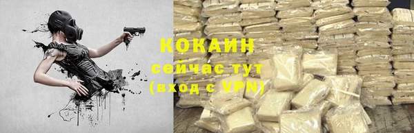 амф Алзамай