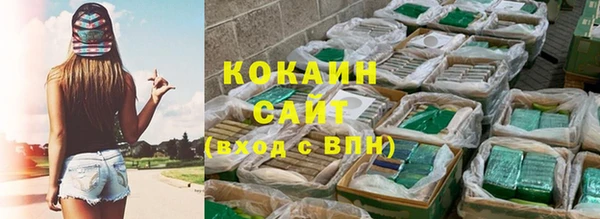 шишки Остров